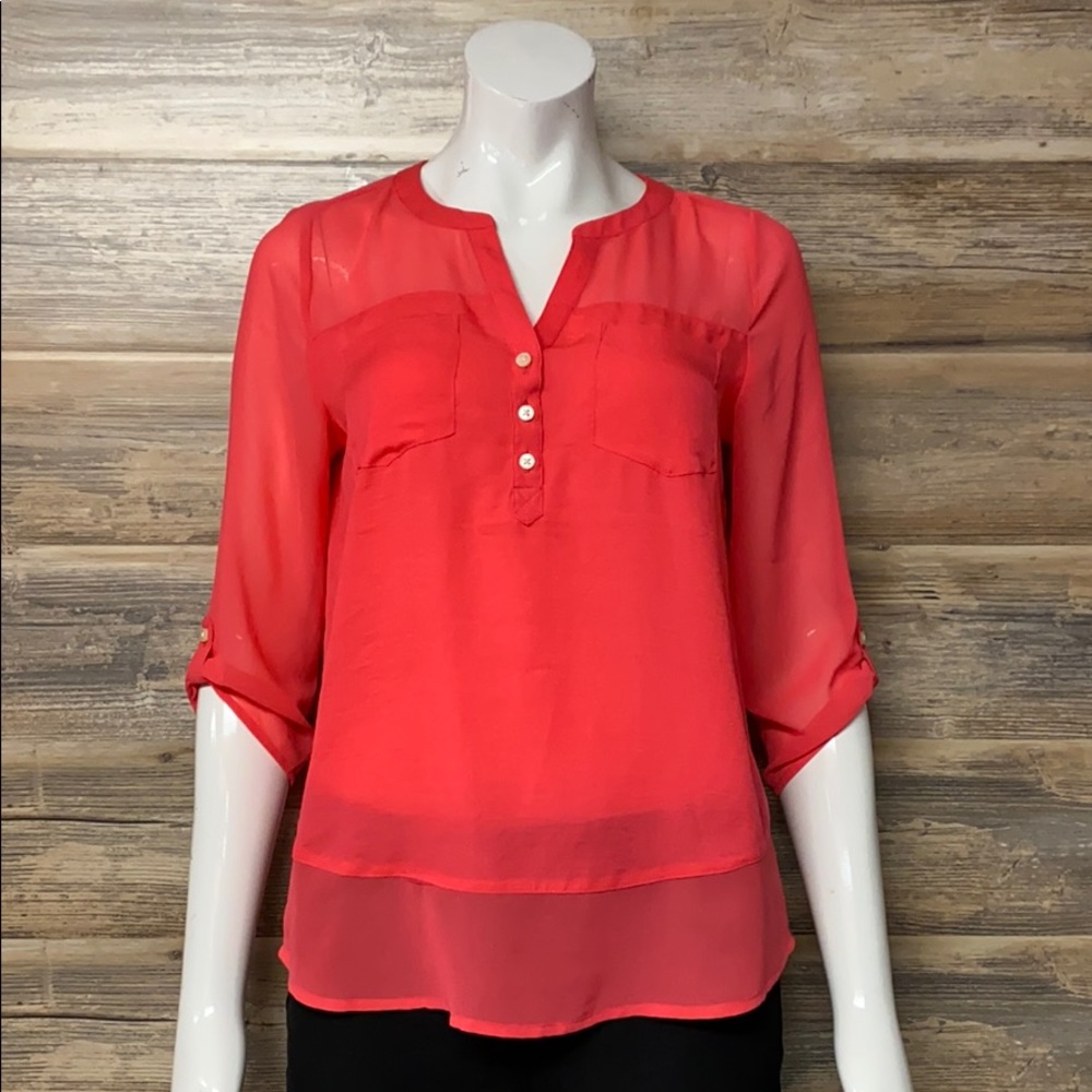 Express Sheer Pink Blouse